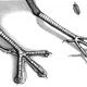 Image for article titled Big, 100-Million-Year-Old Bird Tracks Discovered in Australia